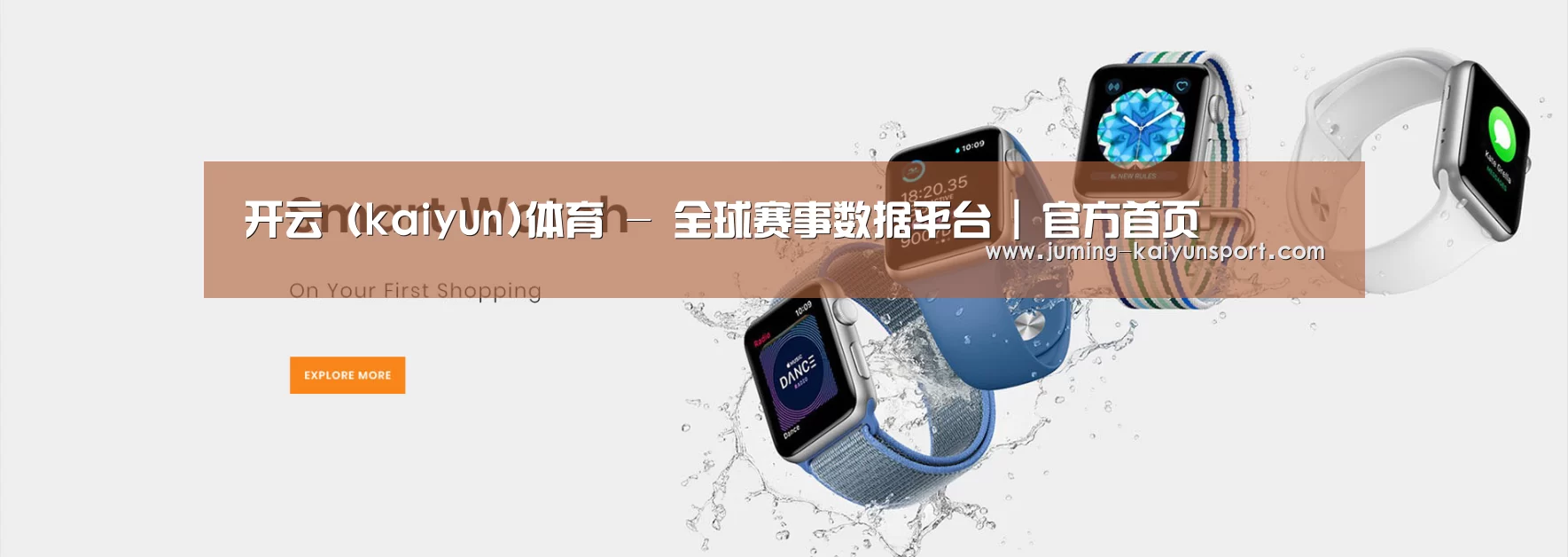 某某网络科技有限公司
