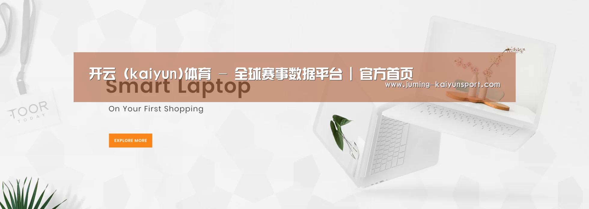 某某网络科技有限公司
