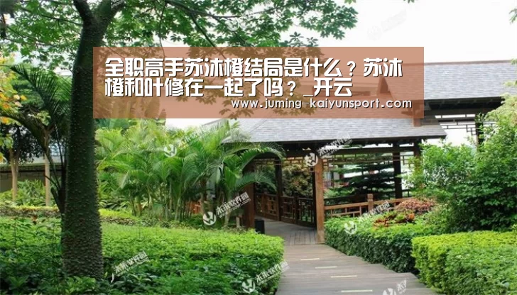全职高手苏沐橙结局是什么？苏沐橙和叶修在一起了吗？_开云